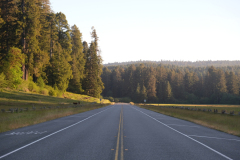 Kalifornische Straße