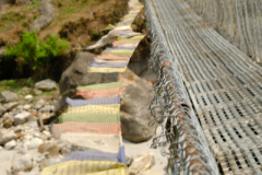 Hängebrücke mit Wanderbegleitung