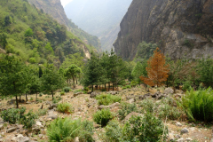 Frühling, Sommer, Herbst