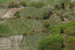 Feldwirtschaft im Tal