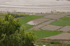 Feldwirtschaft im Tal