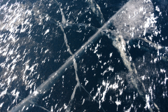 Brauchen die Bilder alle einen Namen?