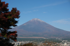 Fuji