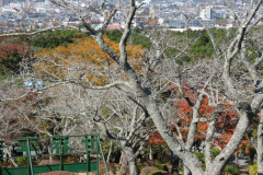 Buddhistischer Fuji-Stupa-Friedenspark