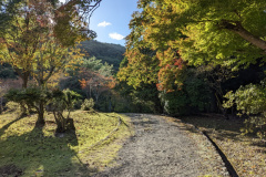 Park neben Bambuswald