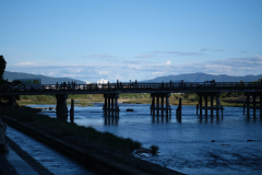 Touristenstrom zum Bambuswald