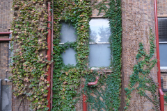 Super-Mario-Rohre Uni Tokyo