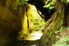 Ich konnte hier ungebückt durchgehen