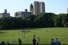 "Sheep Meadow"