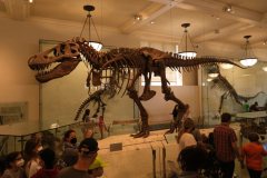 obligatorisches T.Rex-Foto