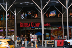 Forest Gump Referenz