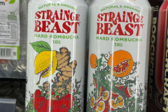 Kombucha in Getränkedose